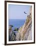 La Quebrada, Cliff Diver, Acapulco, Mexico-Steve Vidler-Framed Photographic Print