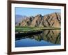 La Quinta Golf Course, California, USA-null-Framed Photographic Print