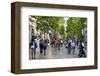 La Rambla, Barcelona, Katalonia, Spain-null-Framed Art Print