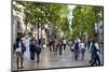 La Rambla, Barcelona, Katalonia, Spain-null-Mounted Art Print