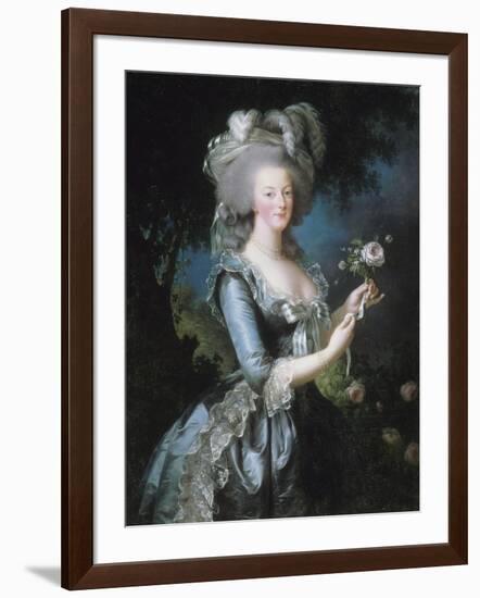 La reine Marie-Antoinette dit "à la Rose" (1755-1793)-Elisabeth Louise Vigée-LeBrun-Framed Giclee Print