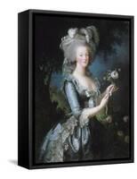 La reine Marie-Antoinette dit "à la Rose" (1755-1793)-Elisabeth Louise Vigée-LeBrun-Framed Stretched Canvas