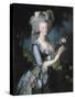 La reine Marie-Antoinette dit "à la Rose" (1755-1793)-Elisabeth Louise Vigée-LeBrun-Stretched Canvas