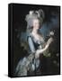 La reine Marie-Antoinette dit "à la Rose" (1755-1793)-Elisabeth Louise Vigée-LeBrun-Framed Stretched Canvas