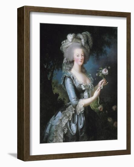 La reine Marie-Antoinette dit "à la Rose" (1755-1793)-Elisabeth Louise Vigée-LeBrun-Framed Giclee Print