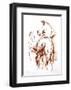 La Rencontre-Fred Jager-Framed Limited Edition