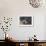La rêveuse ou Soirée d'été-James Tissot-Framed Giclee Print displayed on a wall