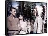 La Riviere by nos Amours THE INDIAN FIGHTER by Andre by Toth with Kirk Douglas, Elsa Martinelli and-null-Framed Stretched Canvas