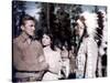 La Riviere by nos Amours THE INDIAN FIGHTER by Andre by Toth with Kirk Douglas, Elsa Martinelli and-null-Stretched Canvas