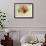 La Rosa-null-Framed Giclee Print displayed on a wall