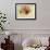 La Rosa-null-Framed Giclee Print displayed on a wall