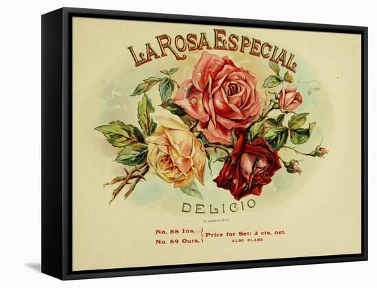 La Rosa-null-Framed Stretched Canvas