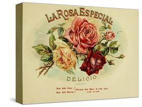 La Rosa-null-Stretched Canvas