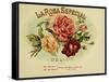 La Rosa-null-Framed Stretched Canvas