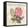 La Rose Romantique-Piper Ballantyne-Framed Stretched Canvas