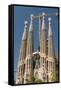 La Sagrada Familia by Antoni Gaudi, Barcelona, Spain-Sergio Pitamitz-Framed Stretched Canvas