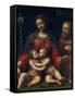 La Sainte Famille Avec Saint Jean Baptiste  (The Holy Family with John the Baptist) Peinture De Be-Bernardino Luini-Framed Stretched Canvas