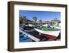 La Salemera, La Palma, Canary Islands, Spain, Europe-Gerhard Wild-Framed Photographic Print