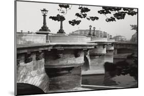 La Samaritaine Pont Neuf Paris-null-Mounted Art Print