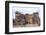 La Santisima Trinidad De Parana, One of the Best Preserved Jesuit Missions, Paraguay-Peter Groenendijk-Framed Photographic Print