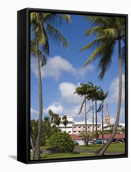 La Savane Park, Fort-De-France, Martinique, French Antilles, West Indies, Caribbean-Richard Cummins-Framed Stretched Canvas