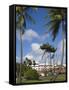 La Savane Park, Fort-De-France, Martinique, French Antilles, West Indies, Caribbean-Richard Cummins-Framed Stretched Canvas