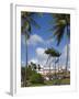 La Savane Park, Fort-De-France, Martinique, French Antilles, West Indies, Caribbean-Richard Cummins-Framed Photographic Print