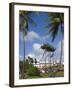 La Savane Park, Fort-De-France, Martinique, French Antilles, West Indies, Caribbean-Richard Cummins-Framed Photographic Print