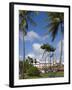 La Savane Park, Fort-De-France, Martinique, French Antilles, West Indies, Caribbean-Richard Cummins-Framed Photographic Print