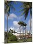 La Savane Park, Fort-De-France, Martinique, French Antilles, West Indies, Caribbean-Richard Cummins-Mounted Photographic Print