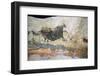 La Scaux cave painting of Aurochs. Artist: Unknown-Unknown-Framed Photographic Print