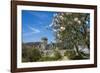 La Seigneurie House and Gardens, Sark, Channel Islands, United Kingdom-Michael Runkel-Framed Photographic Print