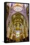 La Seu, the Cathedral of Santa Maria of Palma, Majorca, Balearic Islands, Spain, Europe-Carlo Morucchio-Framed Stretched Canvas