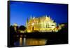 La Seu, the Cathedral of Santa Maria of Palma, Majorca, Balearic Islands, Spain, Europe-Carlo Morucchio-Framed Stretched Canvas