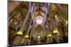 La Seu, the Cathedral of Santa Maria of Palma, Majorca, Balearic Islands, Spain, Europe-Carlo Morucchio-Mounted Photographic Print