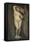 La Source-Jean-Auguste-Dominique Ingres-Framed Stretched Canvas