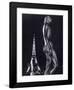 La Terrasse du Palais de Chaillot, Paris-Robert Doisneau-Framed Art Print