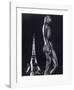 La Terrasse du Palais de Chaillot, Paris-Robert Doisneau-Framed Art Print