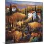 La Toscana e La Vita Dolce-Nancy O'toole-Mounted Giclee Print