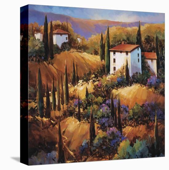 La Toscana e La Vita Dolce-Nancy O'toole-Stretched Canvas