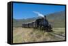 La Trochita, the Old Patagonian Express Between Esquel and El Maiten in Chubut Province, Patagonia-Michael Runkel-Framed Stretched Canvas