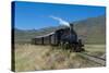 La Trochita, the Old Patagonian Express Between Esquel and El Maiten in Chubut Province, Patagonia-Michael Runkel-Stretched Canvas