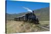 La Trochita, the Old Patagonian Express Between Esquel and El Maiten in Chubut Province, Patagonia-Michael Runkel-Stretched Canvas