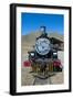 La Trochita, the Old Patagonian Express Between Esquel and El Maiten in Chubut Province, Patagonia-Michael Runkel-Framed Photographic Print