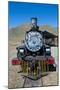 La Trochita, the Old Patagonian Express Between Esquel and El Maiten in Chubut Province, Patagonia-Michael Runkel-Mounted Photographic Print