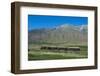 La Trochita, the Old Patagonian Express Between Esquel and El Maiten in Chubut Province, Patagonia-Michael Runkel-Framed Photographic Print