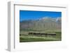 La Trochita, the Old Patagonian Express Between Esquel and El Maiten in Chubut Province, Patagonia-Michael Runkel-Framed Photographic Print