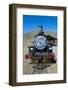 La Trochita, the Old Patagonian Express Between Esquel and El Maiten in Chubut Province, Patagonia-Michael Runkel-Framed Photographic Print