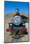 La Trochita, the Old Patagonian Express Between Esquel and El Maiten in Chubut Province, Patagonia-Michael Runkel-Mounted Photographic Print