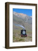 La Trochita, the Old Patagonian Express Between Esquel and El Maiten in Chubut Province, Patagonia-Michael Runkel-Framed Photographic Print